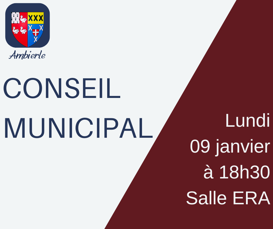 Conseil municipal(3)